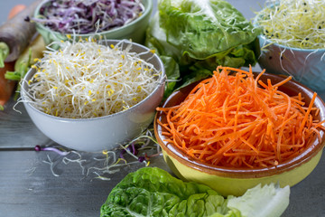 Ingredients for healthy salad. Raw fresh young organic sprouts of leek, alfalfa, red reddish in bowls, green lettuce and carrot close up