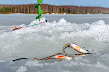 Winter fishing from the ice