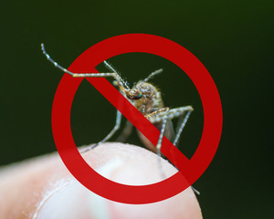 World malaria day with no mosquito sign for prevention of virus carrier insect spreading Aedes...