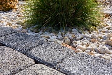A single grass shrub casting a small shadow surrounded by pebbles and paving stones