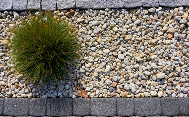 Old gray paving stones in a row surrounded by pebbles and a grass shrub, photgraphed von above