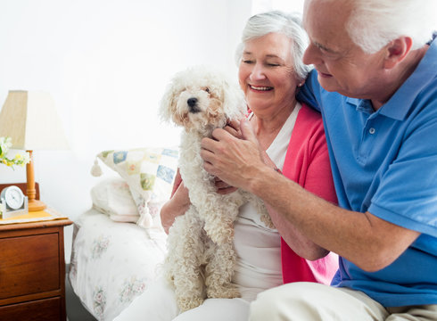 Senior couple holding a dog