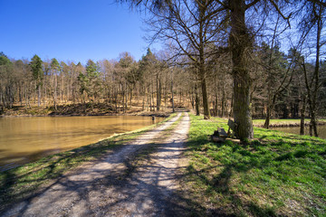 Forest view to the rural countryside in spring