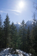 white mountain in the winter