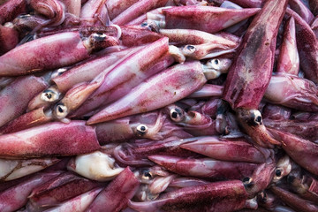 Fresh uncooked squids on shop table. Concept of healthy marine food