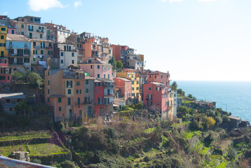 Fototapeta na wymiar Overview of the colored houses and terraces of Corniglia - La Spezia