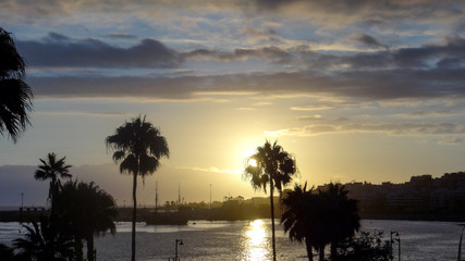 Fototapeta na wymiar Sunset behind palms and the ocean, sun goes down in paradise