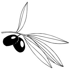 Olive tree in a vector style isolated. Full name of the plant: Branches of an olive tree. Vector olive tree for background, texture, wrapper pattern, frame or border.