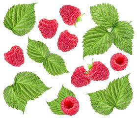 Raspberry and leaves isolated on white background
