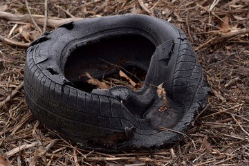 Discarded ruptured tire. 