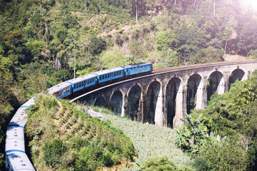 Fototapeta na wymiar The train on the Nine Arches Bridge Demodara is one of the most famous bridges in Sri Lanka