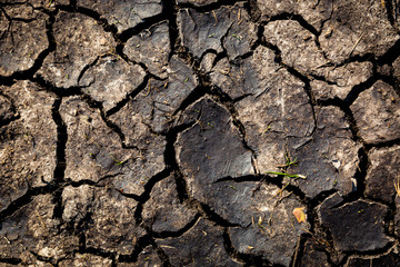cracked earth surface