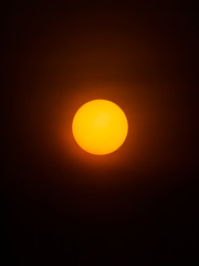 The Lonely Yellow Sun