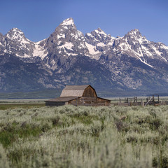 Grand Teton National Park, Wyoming, USA