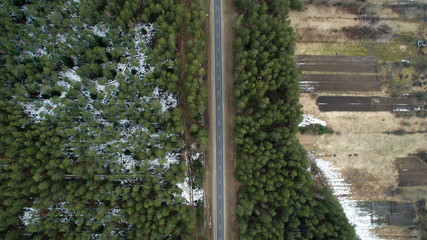The landscape of a green forest and road from asphalt. The spring nature in Europe from a bird's eye view
