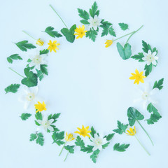 Floral frame made of yellow and white wildflowers and petals of herbs, green leaves, on white background. Flat lay, top view. 