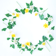 Floral frame made of yellow and white wildflowers and petals of herbs, green leaves, on white background. Flat lay, top view.