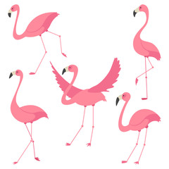 Pink flamingo vector cartoon flat set. Exotic tropical bird icons collection isolated on white background. © Roi_and_Roi