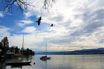 Küste und Strand in Küsnacht im Kanton Zürich in der Schweiz auf der Goldküste mit dem Blick nach Horgen, Rüschlikon und Thalwil