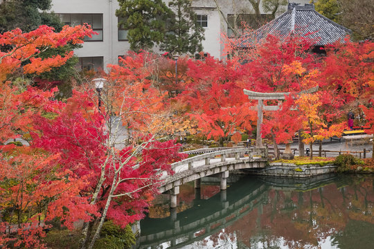 Eikando buddhism temple at Kyoto in autumn