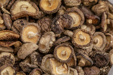 Dried Shiitake Mushroom background, top view