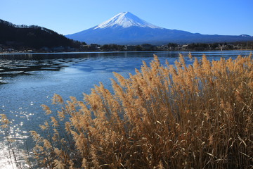mount fuji and reflection of kawaguchi