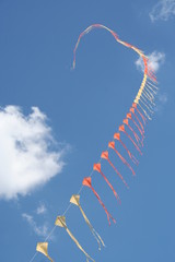 kites