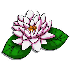 Lotus flower vector illustration isolated on white background.