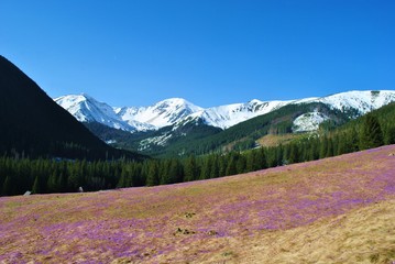 Tatry Zachodnie wiosną