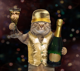 The cat in a golden vest and a cap holds a glass of sparkling wine. Dark background.