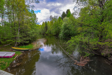 Fototapeta na wymiar Quiet forest river