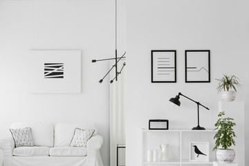 Black and white elegant interior