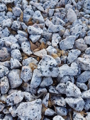 Granito negro y blanco textura