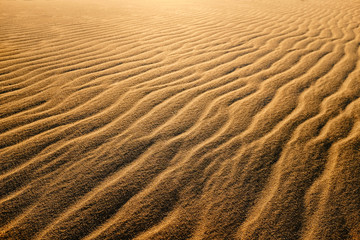Waves of sand dunes.