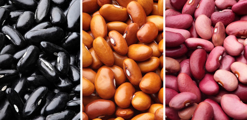 Collage of different types of beans..Varieties of beans.Top view.Closeup.Texture