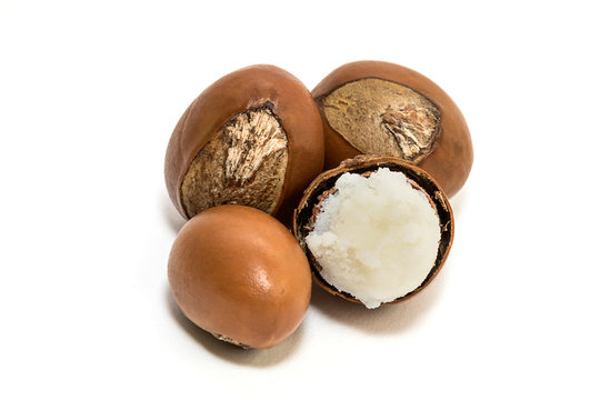 Shea nuts. Vitellaria paradoxa