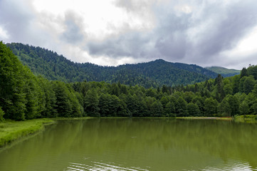 Big lake in forest