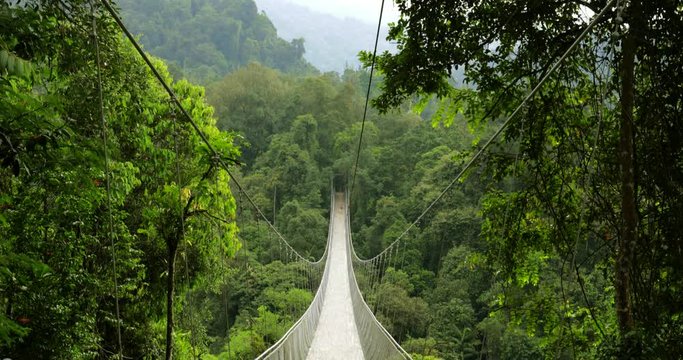 Beautiful view of suspension bridge on the morning in the rain forest at Sukabumi, West Java, Indonesia. Shot in 4k resolution