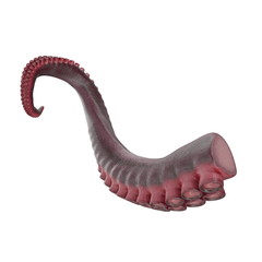 Octopus Tentacle on white. 3D illustration - 200120760
