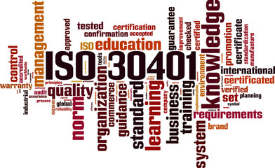 ISO 30401 word cloud