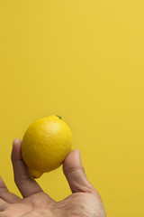 Hand Holding One Lemon