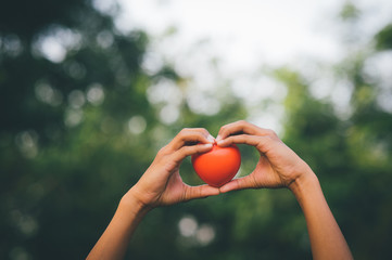 My hand and my red heart