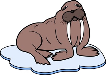 Cartoon Walrus on ice floe