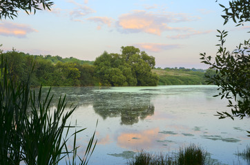 Serene summer landscape with river.