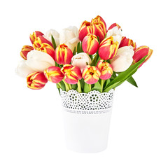 Red tulips bouquet in white vase. Isolated over white background. Mothers Day, Birthday, Valentines Day concept.