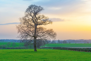 Sunrise over a foggy countryside in spring