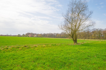 Panorama of a green meadow on a hill in sunlight in spring