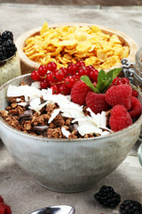 Cereal and ingredients for a healthy breakfast with chia pudding, granola, cornflakes and berries
