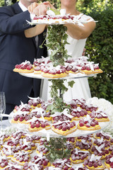 raspberry wedding cake