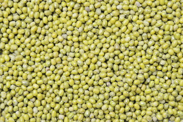 raw green bean texture and background